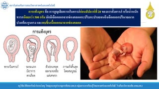 ครูวิชัยลิขิตพรรักษ์ ตาแหน่งครู วิทยฐานะครูชานาญการพิเศษ(คศ.3)กลุ่มสาระการเรียนรู้วิทยาศาสตร์และเทคโนโลยี โรงเรียนวัดราชบพิธ สพม.กท.1
สถาบันส่งเสริมการสอนวิทยาศาสตร์และเทคโนโลยี
การแท้งบุตร คือ การสูญเสียทารกในครรภ์ก่อนสัปดาห์ที่28 ของการตั้งครรภ์ หรือน้าหนัก
ทารกน้อยกว่า 500 กรัม มักมีเลือดออกจากช่องคลอดกะปริบกะปรอยจนถึงเลือดออกปริมาณมาก
ปวดท้องรุนแรง และพบชิ้นเนื้อออกมาจากช่องคลอด
 