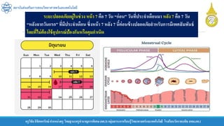 ครูวิชัยลิขิตพรรักษ์ ตาแหน่งครู วิทยฐานะครูชานาญการพิเศษ(คศ.3)กลุ่มสาระการเรียนรู้วิทยาศาสตร์และเทคโนโลยี โรงเรียนวัดราชบพิธ สพม.กท.1
สถาบันส่งเสริมการสอนวิทยาศาสตร์และเทคโนโลยี
ระยะปลอดภัยอยู่ในช่วง หน้า 7 คือ 7 วัน “ก่อน” วันที่ประจาเดือนมา หลัง 7 คือ 7 วัน
“หลังจากวันแรก” ที่มีประจาเดือน ซึ่งหน้า 7 หลัง 7 นี้ค่อนข้างปลอดภัยสาหรับการมีเพศสัมพันธ์
โดยที่ไม่ต้องใช้อุปกรณ์ป้องกันหรือคุมกาเนิด
 