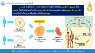 ครูวิชัยลิขิตพรรักษ์ ตาแหน่งครู วิทยฐานะครูชานาญการพิเศษ(คศ.3)กลุ่มสาระการเรียนรู้วิทยาศาสตร์และเทคโนโลยี โรงเรียนวัดราชบพิธ สพม.กท.1
สถาบันส่งเสริมการสอนวิทยาศาสตร์และเทคโนโลยี
Sexual รุ่นลูกแตกต่างหลากหลาย ส่วนใหญ่มีการสร้าง sex cell หรือ gamete โดย
meiosis ที่ลดโครโมโซมครึ่งหนึ่ง และ fertilization โดยการรวมนิวเคลียส sperm กับ egg หรือ
ovum ซึ่งจะได้ zygote เจริญพัฒนาต่อเป็น embryo
 