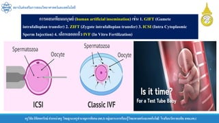 ครูวิชัยลิขิตพรรักษ์ ตาแหน่งครู วิทยฐานะครูชานาญการพิเศษ(คศ.3)กลุ่มสาระการเรียนรู้วิทยาศาสตร์และเทคโนโลยี โรงเรียนวัดราชบพิธ สพม.กท.1
สถาบันส่งเสริมการสอนวิทยาศาสตร์และเทคโนโลยี
การผสมเทียมมนุษย์ (human artificial insemination) เช่น 1. GIFT (Gamete
intrafallopian transfer) 2. ZIFT (Zygote intrafallopian transfer) 3. ICSI (Intra Cytoplasmic
Sperm Injection) 4. เด็กหลอดแก้ว IVF (In Vitro Fertilization)
 