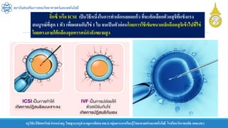 ครูวิชัยลิขิตพรรักษ์ ตาแหน่งครู วิทยฐานะครูชานาญการพิเศษ(คศ.3)กลุ่มสาระการเรียนรู้วิทยาศาสตร์และเทคโนโลยี โรงเรียนวัดราชบพิธ สพม.กท.1
สถาบันส่งเสริมการสอนวิทยาศาสตร์และเทคโนโลยี
อิ๊กซี่ หรือ ICSI เป็นวิธีหนึ่งในการทาเด็กหลอดแก้ว ที่จะคัดเลือกตัวอสุจิที่แข็งแรง
สมบูรณ์ที่สุด 1 ตัว เพื่อผสมกับไข่ 1 ใบ จนเป็นตัวอ่อนโดยการใช้เข็มขนาดเล็กฉีดอสุจิเข้าไปที่ไข่
โดยตรงภายใต้กล้องจุลทรรศน์กาลังขยายสูง
 