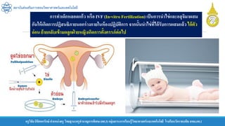 ครูวิชัยลิขิตพรรักษ์ ตาแหน่งครู วิทยฐานะครูชานาญการพิเศษ(คศ.3)กลุ่มสาระการเรียนรู้วิทยาศาสตร์และเทคโนโลยี โรงเรียนวัดราชบพิธ สพม.กท.1
สถาบันส่งเสริมการสอนวิทยาศาสตร์และเทคโนโลยี
การทาเด็กหลอดแก้ว หรือ IVF (In-vitro Fertilization) เป็นการนาไข่และอสุจิมาผสม
กันให้เกิดการปฏิสนธิภายนอกร่างกายในห้องปฏิบัติการ จากนั้นนาไข่ที่ได้รับการผสมแล้ว ได้ตัว
อ่อน ย้ายกลับเข้ามดลูกฝ่ ายหญิงเกิดการตั้งครรภ์ต่อไป
 