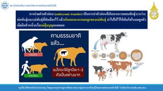 ครูวิชัยลิขิตพรรักษ์ ตาแหน่งครู วิทยฐานะครูชานาญการพิเศษ(คศ.3)กลุ่มสาระการเรียนรู้วิทยาศาสตร์และเทคโนโลยี โรงเรียนวัดราชบพิธ สพม.กท.1
สถาบันส่งเสริมการสอนวิทยาศาสตร์และเทคโนโลยี
การถ่ายฝากตัวอ่อน (embryonic transfer) เป็นการนาตัวอ่อนที่เกิดจากการผสมพันธุ์ระหว่าง
พ่อพันธุ์และแม่พันธุ์ที่คัดเลือกไว้ แล้วเก็บออกมาจากมดลูกของแม่พันธุ์ นาไปใส่ไว้ให้เติบโตในมดลูกตัว
เมียอีกตัวหนึ่งหรือแม่อุ้มบุญจนคลอด
 