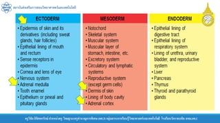 ครูวิชัยลิขิตพรรักษ์ ตาแหน่งครู วิทยฐานะครูชานาญการพิเศษ(คศ.3)กลุ่มสาระการเรียนรู้วิทยาศาสตร์และเทคโนโลยี โรงเรียนวัดราชบพิธ สพม.กท.1
สถาบันส่งเสริมการสอนวิทยาศาสตร์และเทคโนโลยี
 