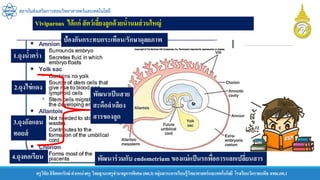 ครูวิชัยลิขิตพรรักษ์ ตาแหน่งครู วิทยฐานะครูชานาญการพิเศษ(คศ.3)กลุ่มสาระการเรียนรู้วิทยาศาสตร์และเทคโนโลยี โรงเรียนวัดราชบพิธ สพม.กท.1
สถาบันส่งเสริมการสอนวิทยาศาสตร์และเทคโนโลยี
1.ถุงน้าคร่า
2.ถุงไข่แดง
3.ถุงอัลแลน
ทอยส์
4.ถุงคอเรียน
ป้องกันกระทบกระเทือน/รักษาดุลยภาพ
พัฒนาเป็นสาย
สะดือลาเลียง
สารของลูก
พัฒนาร่วมกับ endometrium ของแม่แป็นรกพื่อการแลกเปลี่ยนสาร
Viviparous ได้แก่ สัตว์เลี้ยงลูกด้วยน้านมส่วนใหญ่
 