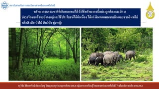 ครูวิชัยลิขิตพรรักษ์ ตาแหน่งครู วิทยฐานะครูชานาญการพิเศษ(คศ.3)กลุ่มสาระการเรียนรู้วิทยาศาสตร์และเทคโนโลยี โรงเรียนวัดราชบพิธ สพม.กท.1
สถาบันส่งเสริมการสอนวิทยาศาสตร์และเทคโนโลยี
ทรัพยากรธรรมชาติที่เกิดทดแทนได้ ถ้าใช้ทรัพยากรนี้อย่างถูกต้องและมีการ
บารุงรักษาแล้วจะยังคงอยู่และใช้ประโยชน์ได้ต่อเนื่อง ได้แก่ ดินทดแทนจากหินและซากอินทรีย์
หรือฮิวมัส ป่ าไม้ สัตว์ป่ า ทุ่งหญ้า
 