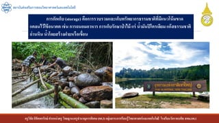 ครูวิชัยลิขิตพรรักษ์ ตาแหน่งครู วิทยฐานะครูชานาญการพิเศษ(คศ.3)กลุ่มสาระการเรียนรู้วิทยาศาสตร์และเทคโนโลยี โรงเรียนวัดราชบพิธ สพม.กท.1
สถาบันส่งเสริมการสอนวิทยาศาสตร์และเทคโนโลยี
การกักเก็บ (storage) คือการรวบรวมและเก็บทรัพยากรธรรมชาติที่มีแนวโน้มขาด
แคลนไว้ใช้อนาคต เช่น การถนอมอาหาร การเก็บรักษาป่ าไม้ แร่ น้ามันปิโตรเลียม แก๊สธรรมชาติ
ถ่านหิน น้าโดยสร้างฝายหรือเขื่อน
 