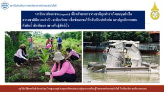 ครูวิชัยลิขิตพรรักษ์ ตาแหน่งครู วิทยฐานะครูชานาญการพิเศษ(คศ.3)กลุ่มสาระการเรียนรู้วิทยาศาสตร์และเทคโนโลยี โรงเรียนวัดราชบพิธ สพม.กท.1
สถาบันส่งเสริมการสอนวิทยาศาสตร์และเทคโนโลยี
การรักษาซ่อมแซม(repair) เมื่อทรัพยากรธรรมชาติถูกทาลายโดยมนุษย์หรือ
ธรรมชาติมีความจาเป็นจะต้องรักษาหรือซ่อมแซมให้กลับเป็นปกติเช่น การปลูกป่ าทดแทน
กังหันน้าชัยพัฒนา เพาะพันธุ์สัตว์ป่ า
 