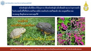 ครูวิชัยลิขิตพรรักษ์ ตาแหน่งครู วิทยฐานะครูชานาญการพิเศษ(คศ.3)กลุ่มสาระการเรียนรู้วิทยาศาสตร์และเทคโนโลยี โรงเรียนวัดราชบพิธ สพม.กท.1
สถาบันส่งเสริมการสอนวิทยาศาสตร์และเทคโนโลยี
ชนิดพันธุ์ต่างถิ่นที่มีแนวโน้มรุกราน เป็นชนิดพันธุ์ต่างถิ่นที่เคยมีรายงานว่ารุกรานแล้ว
ในประเทศอื่นที่ไม่ใช่ประเทศไทย แต่มีการพบในประเทศไทยแล้ว เช่น กบบุลฟร๊อก และ
พวงชมพู ปัจจุบันสามารถควบคุมได้
 