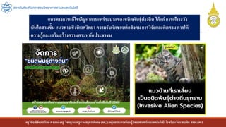 ครูวิชัยลิขิตพรรักษ์ ตาแหน่งครู วิทยฐานะครูชานาญการพิเศษ(คศ.3)กลุ่มสาระการเรียนรู้วิทยาศาสตร์และเทคโนโลยี โรงเรียนวัดราชบพิธ สพม.กท.1
สถาบันส่งเสริมการสอนวิทยาศาสตร์และเทคโนโลยี
แนวทางการแก้ไขปัญหาการแพร่ระบาดของชนิดพันธุ์ต่างถิ่น ได้แก่ การเฝ้าระวัง
บันไดสามขั้น แนวทางเชิงนิเวศวิทยา ความรับผิดชอบต่อสังคม การวิจัยและติดตาม การให้
ความรู้และเสริมสร้างความตระหนักประชาชน
 