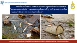 ครูวิชัยลิขิตพรรักษ์ ตาแหน่งครู วิทยฐานะครูชานาญการพิเศษ(คศ.3)กลุ่มสาระการเรียนรู้วิทยาศาสตร์และเทคโนโลยี โรงเรียนวัดราชบพิธ สพม.กท.1
สถาบันส่งเสริมการสอนวิทยาศาสตร์และเทคโนโลยี
แหล่งที่มาของน้าเสีย เช่น จากธรรมชาติโดยเกิดจากจุลินทรีย์ในแหล่งน้าใช้ออกซิเจน
ในการย่อยสลายซากอินทรีย์ จากชุมชนโดยการอุปโภคและบริโภคจากโรงงานอุตสาหกรรมโดย
กระบวนการผลิต และจากการเกษตรกับฟาร์มเลี้ยงสัตว์
 