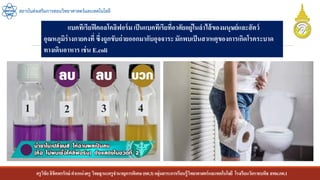 ครูวิชัยลิขิตพรรักษ์ ตาแหน่งครู วิทยฐานะครูชานาญการพิเศษ(คศ.3)กลุ่มสาระการเรียนรู้วิทยาศาสตร์และเทคโนโลยี โรงเรียนวัดราชบพิธ สพม.กท.1
สถาบันส่งเสริมการสอนวิทยาศาสตร์และเทคโนโลยี
แบคทีเรียฟีคอลโคลิฟอร์ม เป็นแบคทีเรียที่อาศัยอยู่ในลาไส้ของมนุษย์และสัตว์
อุณหภูมิร่างกายคงที่ ซึ่งถูกขับถ่ายออกมากับอุจจาระมักพบเป็นสาเหตุของการเกิดโรคระบาด
ทางเดินอาหาร เช่น E.coli
 