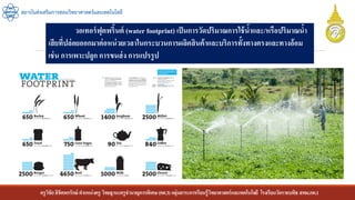ครูวิชัยลิขิตพรรักษ์ ตาแหน่งครู วิทยฐานะครูชานาญการพิเศษ(คศ.3)กลุ่มสาระการเรียนรู้วิทยาศาสตร์และเทคโนโลยี โรงเรียนวัดราชบพิธ สพม.กท.1
สถาบันส่งเสริมการสอนวิทยาศาสตร์และเทคโนโลยี
วอเทอร์ฟุตพริ้นต์ (water footprint) เป็นการวัดปริมาณการใช้น้าและ/หรือปริมาณน้า
เสียที่ปล่อยออกมาต่อหน่วยเวลาในกระบวนการผลิตสินค้าและบริการทั้งทางตรงและทางอ้อม
เช่น การเพาะปลูก การขนส่ง การแปรรูป
 