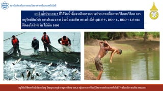 ครูวิชัยลิขิตพรรักษ์ ตาแหน่งครู วิทยฐานะครูชานาญการพิเศษ(คศ.3)กลุ่มสาระการเรียนรู้วิทยาศาสตร์และเทคโนโลยี โรงเรียนวัดราชบพิธ สพม.กท.1
สถาบันส่งเสริมการสอนวิทยาศาสตร์และเทคโนโลยี
แหล่งน้าประเภท 2 ที่ได้รับน้าทิ้งจากกิจกรรมบางประเภทเพื่อการบริโภคบริโภค การ
อนุรักษ์สัตว์น้า การประมง การว่ายน้าและกีฬาทางน้า มีค่า pH 5-9 , DO > 6 , BOD < 1.5 และ
ฟีคอลโคลิฟอร์ม ไม่เกิน 1000
 