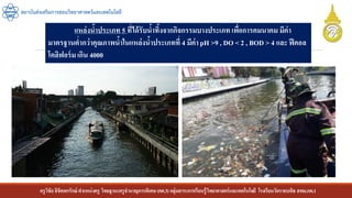 ครูวิชัยลิขิตพรรักษ์ ตาแหน่งครู วิทยฐานะครูชานาญการพิเศษ(คศ.3)กลุ่มสาระการเรียนรู้วิทยาศาสตร์และเทคโนโลยี โรงเรียนวัดราชบพิธ สพม.กท.1
สถาบันส่งเสริมการสอนวิทยาศาสตร์และเทคโนโลยี
แหล่งน้าประเภท 5 ที่ได้รับน้าทิ้งจากกิจกรรมบางประเภท เพื่อการคมนาคม มีค่า
มาตรฐานต่ากว่าคุณภาพน้าในแหล่งน้าประเภทที่ 4 มีค่า pH >9 , DO < 2 , BOD > 4 และ ฟีคอล
โคลิฟอร์ม เกิน 4000
 