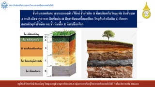 ครูวิชัยลิขิตพรรักษ์ ตาแหน่งครู วิทยฐานะครูชานาญการพิเศษ(คศ.3)กลุ่มสาระการเรียนรู้วิทยาศาสตร์และเทคโนโลยี โรงเรียนวัดราชบพิธ สพม.กท.1
สถาบันส่งเสริมการสอนวิทยาศาสตร์และเทคโนโลยี
ชั้นดินภาพตัดขวางจากบนลงล่าง ได้แก่ ชั้นผิวดิน O ที่พบอินทรียวัตถุผุพัง ดินชั้นบน
A พบฮิวมัสธาตุอาหาร ดินชั้นล่าง B มีการทับถมเนื้อละเอียด วัตถุต้นกาเนิดดิน C เกิดการ
สลายตัวผุพังชั้นหิน และชั้นหินพื้น R หินเปลือกโลก
 