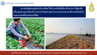 ครูวิชัยลิขิตพรรักษ์ ตาแหน่งครู วิทยฐานะครูชานาญการพิเศษ(คศ.3)กลุ่มสาระการเรียนรู้วิทยาศาสตร์และเทคโนโลยี โรงเรียนวัดราชบพิธ สพม.กท.1
สถาบันส่งเสริมการสอนวิทยาศาสตร์และเทคโนโลยี
ความสาคัญต่อมนุษย์และสิ่งแวดล้อม ได้แก่ แหล่งปัจจัยสี่ทางด้านอาหาร ที่อยู่อาศัย
เครื่องนุ่งห่ม และยารักษาโรค จากการทาเกษตร อุตสาหกรรมคมนาคม และเป็นแหล่งกักเก็บน้า
ตามธรรมชาติทั้งบนดินและใต้ดิน
 