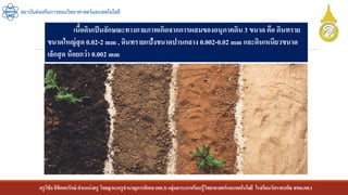 ครูวิชัยลิขิตพรรักษ์ ตาแหน่งครู วิทยฐานะครูชานาญการพิเศษ(คศ.3)กลุ่มสาระการเรียนรู้วิทยาศาสตร์และเทคโนโลยี โรงเรียนวัดราชบพิธ สพม.กท.1
สถาบันส่งเสริมการสอนวิทยาศาสตร์และเทคโนโลยี
เนื้อดินเป็นลักษณะทางกายภาพเกิดจากการผสมของอนุภาคดิน3 ขนาด คือ ดินทราย
ขนาดใหญ่สุด 0.02-2 mm , ดินทรายแป้งขนาดปานกลาง 0.002-0.02 mm และดินเหนียวขนาด
เล็กสุด น้อยกว่า 0.002 mm
 