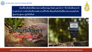 ครูวิชัยลิขิตพรรักษ์ ตาแหน่งครู วิทยฐานะครูชานาญการพิเศษ(คศ.3)กลุ่มสาระการเรียนรู้วิทยาศาสตร์และเทคโนโลยี โรงเรียนวัดราชบพิธ สพม.กท.1
สถาบันส่งเสริมการสอนวิทยาศาสตร์และเทคโนโลยี
ดินเปรี้ยวเป็นดินที่มีสภาพความเป็นกรดสูงโดยค่า pH ต่ากว่า 7 ถือว่าดินเป็นกรด ถ้า
ค่า pH ต่ากว่า 4 แปลว่าดินเป็นกรดจัด การแก้ไข คือ เพิ่มเบสในดินโดยใช้สารประกอบเคมี เช่น
ปูนมาร์ล ปูนขาว ปูนโดโลไมท์
 