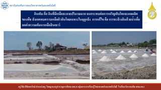 ครูวิชัยลิขิตพรรักษ์ ตาแหน่งครู วิทยฐานะครูชานาญการพิเศษ(คศ.3)กลุ่มสาระการเรียนรู้วิทยาศาสตร์และเทคโนโลยี โรงเรียนวัดราชบพิธ สพม.กท.1
สถาบันส่งเสริมการสอนวิทยาศาสตร์และเทคโนโลยี
ดินเค็ม คือ ดินที่มีเกลือละลายปริมาณมากจนกระทบต่อการเจริญเติบโตและผลผลิต
ของพืช สังเกตพบคราบเกลือผิวดินโดยเฉพาะในฤดูแล้ง การแก้ไข คือ การชะล้างดินด้วยน้าเพื่อ
ลดค่าความเค็มนาเกลือสินเธาว์
 