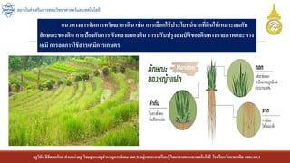 ครูวิชัยลิขิตพรรักษ์ ตาแหน่งครู วิทยฐานะครูชานาญการพิเศษ(คศ.3)กลุ่มสาระการเรียนรู้วิทยาศาสตร์และเทคโนโลยี โรงเรียนวัดราชบพิธ สพม.กท.1
สถาบันส่งเสริมการสอนวิทยาศาสตร์และเทคโนโลยี
แนวทางการจัดการทรัพยากรดิน เช่น การเลือกใช้ประโยชน์จากที่ดินให้เหมาะสมกับ
ลักษณะของดิน การป้องกันการพังทลายของดิน การปรับปรุงสมบัติของดินทางกายภาพและทาง
เคมี การลดการใช้สารเคมีการเกษตร
 