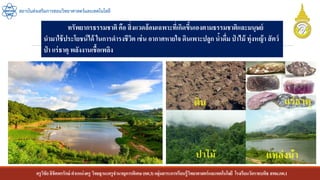 ครูวิชัยลิขิตพรรักษ์ ตาแหน่งครู วิทยฐานะครูชานาญการพิเศษ(คศ.3)กลุ่มสาระการเรียนรู้วิทยาศาสตร์และเทคโนโลยี โรงเรียนวัดราชบพิธ สพม.กท.1
สถาบันส่งเสริมการสอนวิทยาศาสตร์และเทคโนโลยี
ทรัพยากรธรรมชาติ คือ สิ่งแวดล้อมเฉพาะที่เกิดขึ้นเองตามธรรมชาติและมนุษย์
นามาใช้ประโยชน์ได้ ในการดารงชีวิต เช่น อากาศหายใจ ดินเพาะปลูก น้าดื่ม ป่ าไม้ ทุ่งหญ้า สัตว์
ป่ า แร่ธาตุ พลังงานเชื้อเพลิง
 