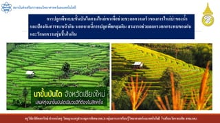 ครูวิชัยลิขิตพรรักษ์ ตาแหน่งครู วิทยฐานะครูชานาญการพิเศษ(คศ.3)กลุ่มสาระการเรียนรู้วิทยาศาสตร์และเทคโนโลยี โรงเรียนวัดราชบพิธ สพม.กท.1
สถาบันส่งเสริมการสอนวิทยาศาสตร์และเทคโนโลยี
การปลูกพืชแบบขั้นบันไดตามไหล่เขาเพื่อช่วยชะลอความเร็วของการไหล่บ่าของน้า
และป้องกันการชะหน้าดิน นอกจากนี้การปลูกพืชคลุมดิน สามารถช่วยลดแรงตกกระทบของฝน
และรักษาความชุ่มชื้นในดิน
 