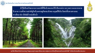 ครูวิชัยลิขิตพรรักษ์ ตาแหน่งครู วิทยฐานะครูชานาญการพิเศษ(คศ.3)กลุ่มสาระการเรียนรู้วิทยาศาสตร์และเทคโนโลยี โรงเรียนวัดราชบพิธ สพม.กท.1
สถาบันส่งเสริมการสอนวิทยาศาสตร์และเทคโนโลยี
ป่ าไม้เป็นทรัพยากรธรรมชาติที่ใช้แล้วทดแทนได้ เป็นแหล่งรวบรวมความหลากหลาย
ชีวภาพ รวมทั้งความสาคัญในด้านเศรษฐกิจและสังคม มนุษย์ใช้ประโยชน์ทั้งทางตรงและ
ทางอ้อม เช่น ปัจจัยสี่ แหล่งต้นน้า
 
