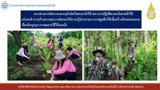 ครูวิชัยลิขิตพรรักษ์ ตาแหน่งครู วิทยฐานะครูชานาญการพิเศษ(คศ.3)กลุ่มสาระการเรียนรู้วิทยาศาสตร์และเทคโนโลยี โรงเรียนวัดราชบพิธ สพม.กท.1
สถาบันส่งเสริมการสอนวิทยาศาสตร์และเทคโนโลยี
แนวทางการจัดการและอนุรักษ์ทรัพยากรป่ าไม้ เช่น การปฏิบัติตามนโยบายป่ าไม้
แห่งชาติ การสร้างความตระหนักและให้ความรู้ประชาชนการปลูกต้นไม้เพื่อสร้างป่ าทดแทนและ
ป้องกันบุกรุก การลดการใช้ไม้จากป่ า
 