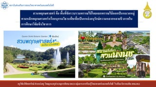 ครูวิชัยลิขิตพรรักษ์ ตาแหน่งครู วิทยฐานะครูชานาญการพิเศษ(คศ.3)กลุ่มสาระการเรียนรู้วิทยาศาสตร์และเทคโนโลยี โรงเรียนวัดราชบพิธ สพม.กท.1
สถาบันส่งเสริมการสอนวิทยาศาสตร์และเทคโนโลยี
สวนพฤกษศาสตร์ คือ พื้นที่จัดรวบรวมพรรณไม้โดยแยกพรรณไม้ออกเป็นหมวดหมู่
ตามหลักพฤกษศาสตร์หรืออนุกรมวิธานพืชเพื่อเป็นแหล่งอนุรักษ์ความหลากหลายชีวภาพใน
การศึกษาวิจัยเชิงวิชาการ
 