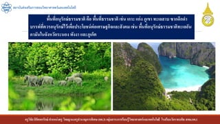 ครูวิชัยลิขิตพรรักษ์ ตาแหน่งครู วิทยฐานะครูชานาญการพิเศษ(คศ.3)กลุ่มสาระการเรียนรู้วิทยาศาสตร์และเทคโนโลยี โรงเรียนวัดราชบพิธ สพม.กท.1
สถาบันส่งเสริมการสอนวิทยาศาสตร์และเทคโนโลยี
พื้นที่อนุรักษ์ธรรมชาติ คือ พื้นที่ธรรมชาติ เช่น เกาะ แก่ง ภูเขา ทะเลสาบ ซากดึกดา
บรรพ์ที่ควรอนุรักษ์ไว้เพื่อประโยชน์ต่อเศรษฐกิจและสังคม เช่น พื้นที่อนุรักษ์ธรรมชาติทะเลอัน
ดามันในจังหวัดระนอง พังงา และภูเก็ต
 