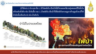 ครูวิชัยลิขิตพรรักษ์ ตาแหน่งครู วิทยฐานะครูชานาญการพิเศษ(คศ.3)กลุ่มสาระการเรียนรู้วิทยาศาสตร์และเทคโนโลยี โรงเรียนวัดราชบพิธ สพม.กท.1
สถาบันส่งเสริมการสอนวิทยาศาสตร์และเทคโนโลยี
ป่ าไม้แบ่ง 2 ประเภท คือ 1. ป่ าไม่ผลัดใบ เป็นป่ าที่มีเรือนยอดเขียวชอุ่มตลอดปีไม่ทิ้งใบ
พร้อมกันทั้งต้น เช่น ป่ าดิบชื้น และ 2. ป่ าผลัดใบ เป็นป่ าไม้ที่ผลัดใบตามฤดูกาลในฤดูแล้งจะมีไฟ
ป่ าเกิดขึ้นเป็นประจา เช่น ป่ าเต็งรัง
 