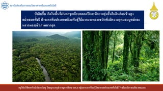 ครูวิชัยลิขิตพรรักษ์ ตาแหน่งครู วิทยฐานะครูชานาญการพิเศษ(คศ.3)กลุ่มสาระการเรียนรู้วิทยาศาสตร์และเทคโนโลยี โรงเรียนวัดราชบพิธ สพม.กท.1
สถาบันส่งเสริมการสอนวิทยาศาสตร์และเทคโนโลยี
ป่ าดิบชื้น เกิดในพื้นที่ฝนตกชุกเกือบตลอดปีและมีความชุ่มชื้นในดินค่อนข้างสูง
สม่าเสมอทั้งปี ป่ าจะรกทึบประกอบด้วยพันธุ์ไม้มากมายหลายชนิดซึ่งมีความอุดมสมบูรณ์และ
หลากหลายชีวภาพมากสุด
 