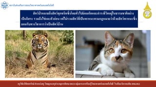 ครูวิชัยลิขิตพรรักษ์ ตาแหน่งครู วิทยฐานะครูชานาญการพิเศษ(คศ.3)กลุ่มสาระการเรียนรู้วิทยาศาสตร์และเทคโนโลยี โรงเรียนวัดราชบพิธ สพม.กท.1
สถาบันส่งเสริมการสอนวิทยาศาสตร์และเทคโนโลยี
สัตว์ป่ าหมายถึงสัตว์ทุกชนิดซึ่งโดยทั่วไปย่อมเกิดและดารงชีวิตอยู่ในธรรมชาติอย่าง
เป็นอิสระ รวมถึงไข่และตัวอ่อน แต่ไม่รวมสัตว์ที่เป็นพาหนะตามกฏหมายว่าด้วยสัตว์พาหนะซึ่ง
ยอมรับทางวิชาการว่าเป็นสัตว์บ้าน
 