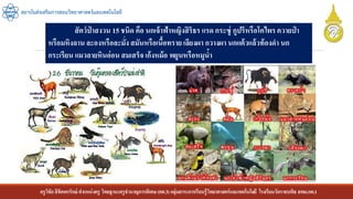 ครูวิชัยลิขิตพรรักษ์ ตาแหน่งครู วิทยฐานะครูชานาญการพิเศษ(คศ.3)กลุ่มสาระการเรียนรู้วิทยาศาสตร์และเทคโนโลยี โรงเรียนวัดราชบพิธ สพม.กท.1
สถาบันส่งเสริมการสอนวิทยาศาสตร์และเทคโนโลยี
สัตว์ป่ าสงวน 15 ชนิด คือ นกเจ้าฟ้าหญิงสิริธร แรด กระซู่ กูปรีหรือโคไพรควายป่ า
หรือมหิงลาน ละองหรือละมั่งสมันหรือเนื้อทราย เลียงผา กวางผา นกแต้วแล้วท้องดา นก
กระเรียน แมวลายหินอ่อน สมเสร็จ เก้งหม้อ พยูนหรือหมูน้า
 