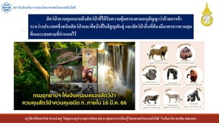 ครูวิชัยลิขิตพรรักษ์ ตาแหน่งครู วิทยฐานะครูชานาญการพิเศษ(คศ.3)กลุ่มสาระการเรียนรู้วิทยาศาสตร์และเทคโนโลยี โรงเรียนวัดราชบพิธ สพม.กท.1
สถาบันส่งเสริมการสอนวิทยาศาสตร์และเทคโนโลยี
สัตว์ป่ าควบคุมหมายถึงสัตว์ป่ าที่ได้รับความคุ้มครองตามอนุสัญญาว่าด้วยการค้า
ระหว่างประเทศซึ่งชนิดสัตว์ป่ าและพืชป่ าที่ใกล้สูญพันธุ์ และสัตว์ป่ าอื่นที่ต้องมีมาตรการควบคุม
ที่เหมาะสมตามที่กาหนดไว้
 