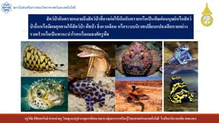 ครูวิชัยลิขิตพรรักษ์ ตาแหน่งครู วิทยฐานะครูชานาญการพิเศษ(คศ.3)กลุ่มสาระการเรียนรู้วิทยาศาสตร์และเทคโนโลยี โรงเรียนวัดราชบพิธ สพม.กท.1
สถาบันส่งเสริมการสอนวิทยาศาสตร์และเทคโนโลยี
สัตว์ป่ าอันตรายหมายถึงสัตว์ป่ าที่อาจก่อให้เกิดอันตรายหรือเป็นพิษต่อมนุษย์หรือสัตว์
ป่ าอื่นหรือมีผลคุกคามให้สัตว์ป่ า พืชป่ า สิ่งแวดล้อม หรือระบบนิเวศเปลี่ยนแปลงเสียหายอย่าง
รวดเร็วหรือเป็นพาหะนาโรคหรือแมลงศัตรูพืช
 