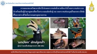 ครูวิชัยลิขิตพรรักษ์ ตาแหน่งครู วิทยฐานะครูชานาญการพิเศษ(คศ.3)กลุ่มสาระการเรียนรู้วิทยาศาสตร์และเทคโนโลยี โรงเรียนวัดราชบพิธ สพม.กท.1
สถาบันส่งเสริมการสอนวิทยาศาสตร์และเทคโนโลยี
การลดลงของทรัพยากรสัตว์ป่ าส่งผลกระทบต่อสิ่งแวดล้อมดังนี้ ผลกระทบต่อระบบ
นิเวศโดยเป็นผู้ถ่ายเรณูของพืชหรือกระจายเมล็ดพันธุ์ และ ผลกระทบต่อมนุษย์โดยเฉพาะปัจจัย
สี่ในการดารงชีวิตทั้งการเกษตรอุตสาหกรรม
 