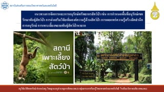 ครูวิชัยลิขิตพรรักษ์ ตาแหน่งครู วิทยฐานะครูชานาญการพิเศษ(คศ.3)กลุ่มสาระการเรียนรู้วิทยาศาสตร์และเทคโนโลยี โรงเรียนวัดราชบพิธ สพม.กท.1
สถาบันส่งเสริมการสอนวิทยาศาสตร์และเทคโนโลยี
แนวทางการจัดการและการอนุรักษ์ทรัพยากรสัตว์ป่ าเช่น การกาหนดพื้นที่อนุรักษ์เขต
รักษาพันธุ์สัตว์ป่ า การส่งเสริมวิจัยเพิ่มองค์ความรู้ด้านสัตว์ป่ า การเผยแพร่ความรู้สร้างจิตสานึก
การอนุรักษ์ การเพาะเลี้ยงขยายพันธุ์สัตว์ป่ าหายาก
 