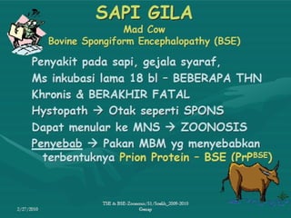 Penyakit TSE & BSE pada hewan ternak.ppt