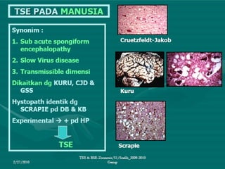 Penyakit TSE & BSE pada hewan ternak.ppt