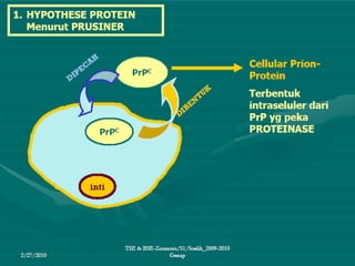 Penyakit TSE & BSE pada hewan ternak.ppt