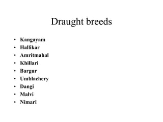Draught breeds
• Kangayam
• Hallikar
• Amritmahal
• Khillari
• Bargur
• Umblachery
• Dangi
• Malvi
• Nimari
 