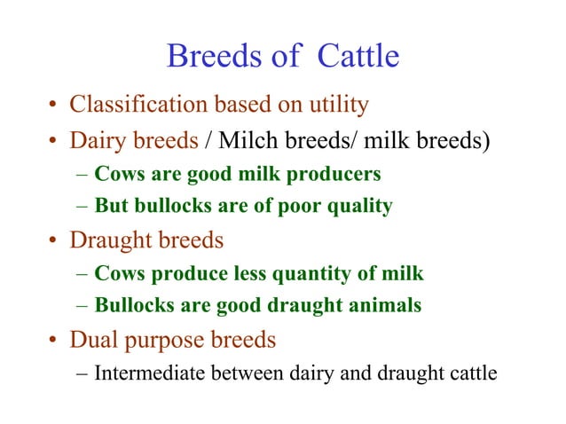 Cow Variations Cattle Breeds dual purpose, draught, milch | PDF