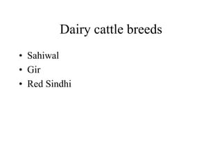 Dairy cattle breeds
• Sahiwal
• Gir
• Red Sindhi
 