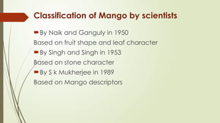Cultivation of mango Mangifera indica..... | PPTX