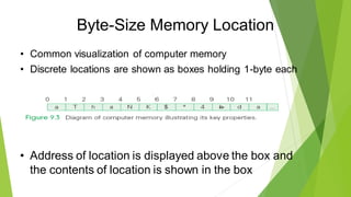 Byte-Size Memory Location
• Common visualization of computer memory
• Discrete locations are shown as boxes holding 1-byte each
• Address of location is displayed above the box and
the contents of location is shown in the box
 