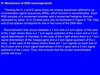 3.2. Genetics of Ig.pptx Di truyền của Ig.pptx
