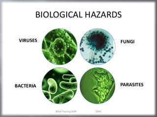 biohazards introduction types and occupational hazards | PPTX