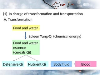 Five zang organs Traditional Chinese Medicine.ppt